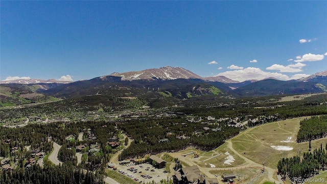 107 Ski Watch Rd Unit 32, Breckenridge, CO 80424 - mountain view