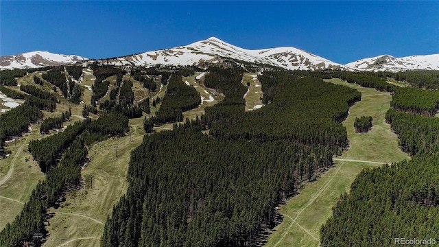 107 Ski Watch Rd Unit 32, Breckenridge, CO 80424 - mountain view with a forest