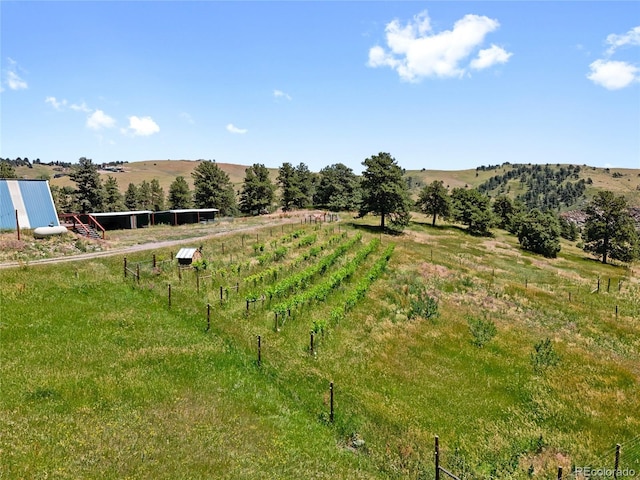 1044 S Grapevine Rd, Golden, CO 80401