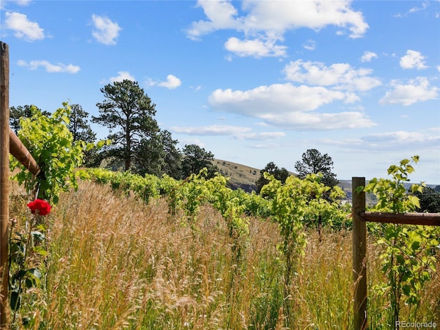 1044 S Grapevine Rd, Golden, CO 80401