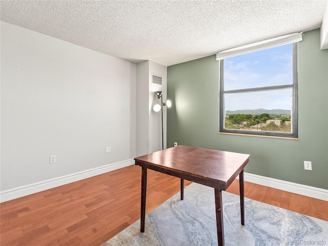 1301 Speer Blvd Unit 702, Denver, CO 80204 - office area with wood finished floors, baseboards, and a textured ceiling