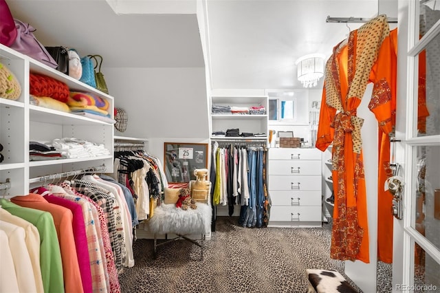 2604 Elm St, Denver, CO 80207 - photo 21