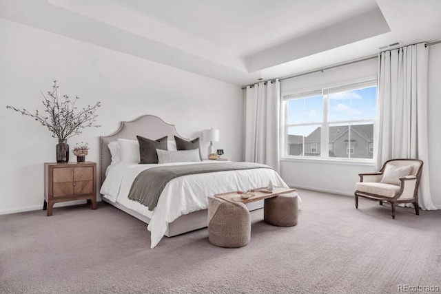 bedroom with a raised ceiling and carpet flooring