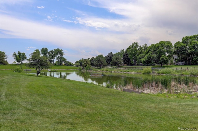 3556 Buffalo Ave, Broomfield, CO 80020 - photo 49
