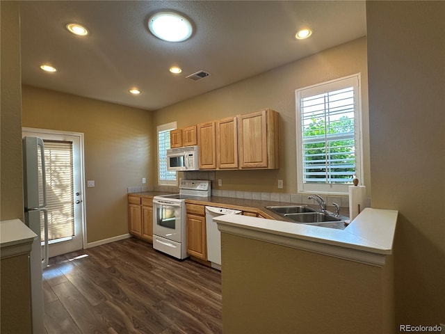 1238 Finch St, Loveland, CO 80537 - photo 7