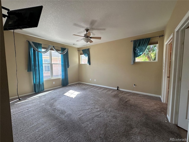 1238 Finch St, Loveland, CO 80537 - photo 14