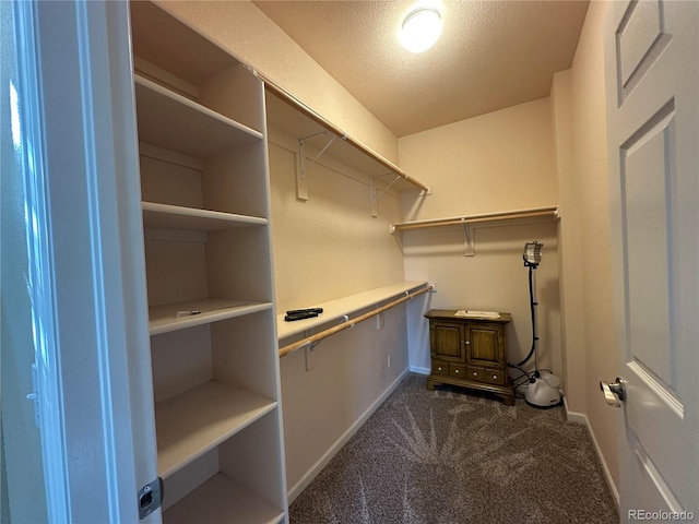 1238 Finch St, Loveland, CO 80537 - photo 18