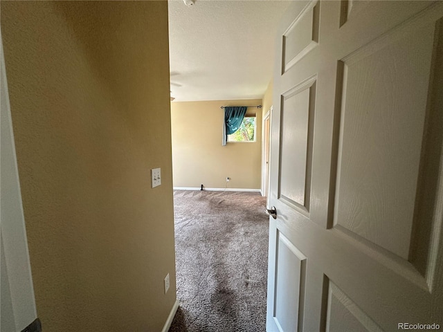 1238 Finch St, Loveland, CO 80537 - photo 25