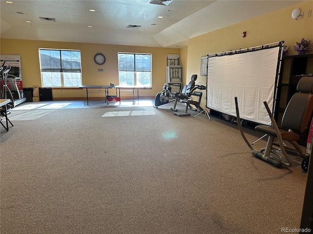 1238 Finch St, Loveland, CO 80537 - photo 41