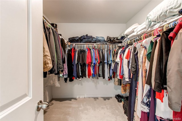 walk in closet with carpet flooring