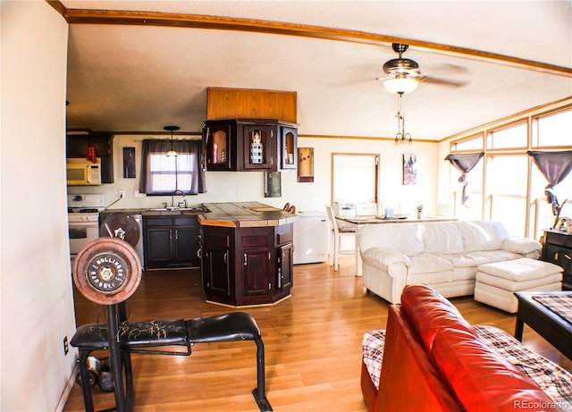 living room featuring light hardwood / wood-style floors, crown molding, sink, and ceiling fan