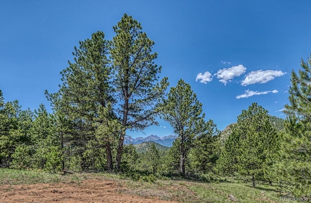 1341 County Road 327, Westcliffe, CO 81252 - view of woods featuring a mountain view
