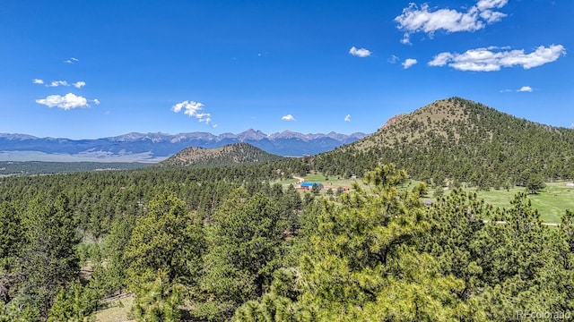 1341 County Road 327, Westcliffe, CO 81252 - view of mountain background with a heavily wooded area
