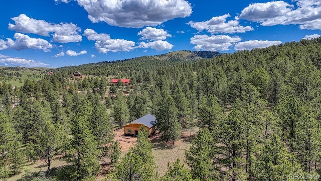 1341 County Road 327, Westcliffe, CO 81252 - view of mountain backdrop featuring a heavily wooded area