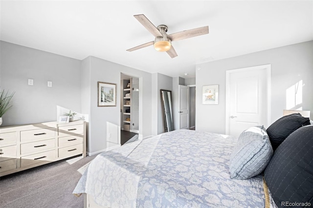 bedroom featuring ceiling fan, a closet, and carpet