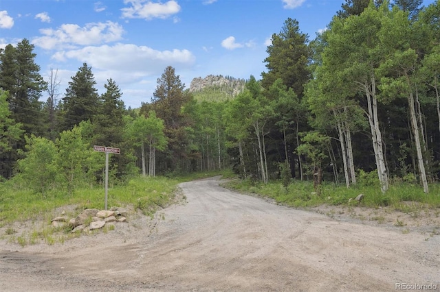 174 Aspen Meadow Ln, Golden, CO 80403 - photo 31
