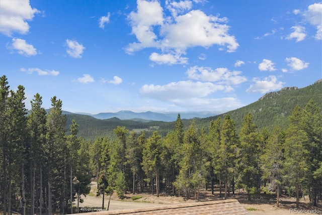 174 Aspen Meadow Ln, Golden, CO 80403 - photo 32