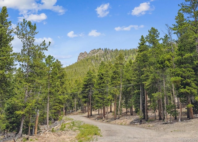 174 Aspen Meadow Ln, Golden, CO 80403 - photo 33