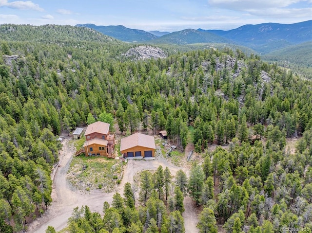 174 Aspen Meadow Ln, Golden, CO 80403 - photo 43