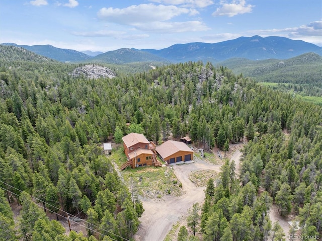 174 Aspen Meadow Ln, Golden, CO 80403 - photo 44