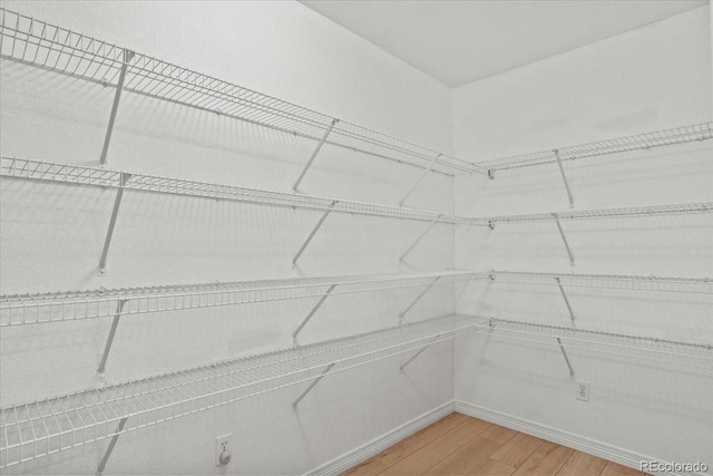 walk in closet with light wood finished floors