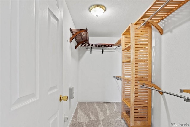 spacious closet with carpet flooring