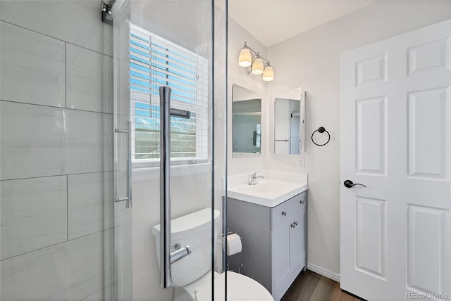 bathroom featuring vanity, wood finished floors, and toilet