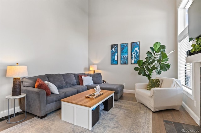 living room featuring light hardwood / wood-style floors and a towering ceiling