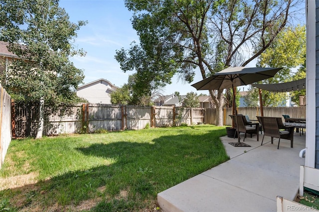 view of yard featuring a patio