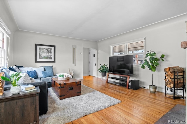 living room with hardwood / wood-style flooring