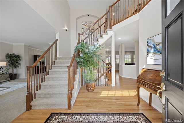 10201 Mountain Maple Dr, Highlands Ranch, CO 80129 - photo 9