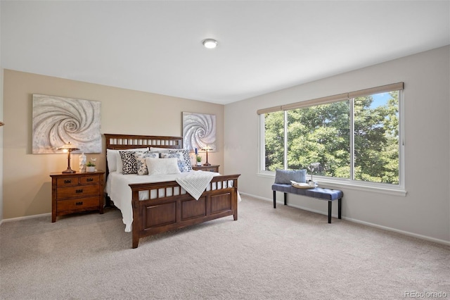 10201 Mountain Maple Dr, Highlands Ranch, CO 80129 - photo 26