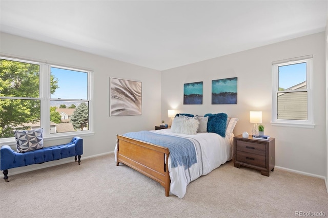 10201 Mountain Maple Dr, Highlands Ranch, CO 80129 - photo 35