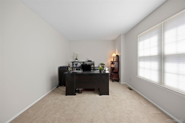 10201 Mountain Maple Dr, Highlands Ranch, CO 80129 - photo 36