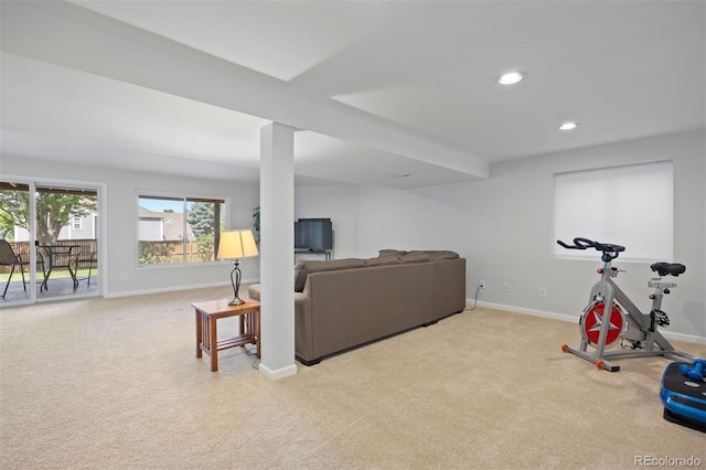 10201 Mountain Maple Dr, Highlands Ranch, CO 80129 - photo 37