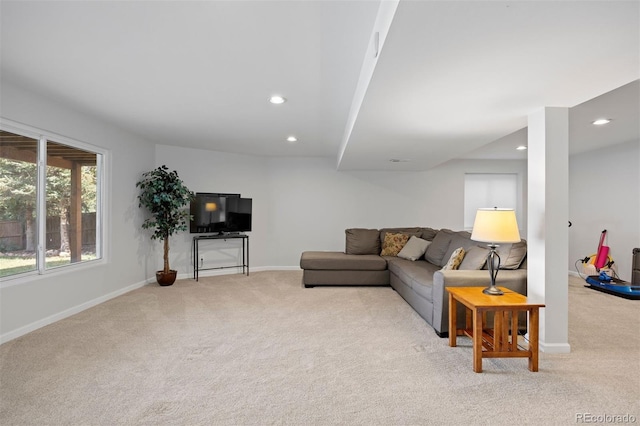 10201 Mountain Maple Dr, Highlands Ranch, CO 80129 - photo 38