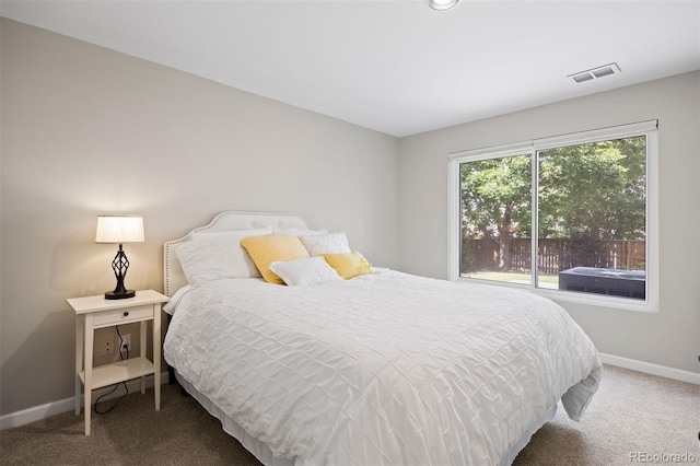 10201 Mountain Maple Dr, Highlands Ranch, CO 80129 - photo 39
