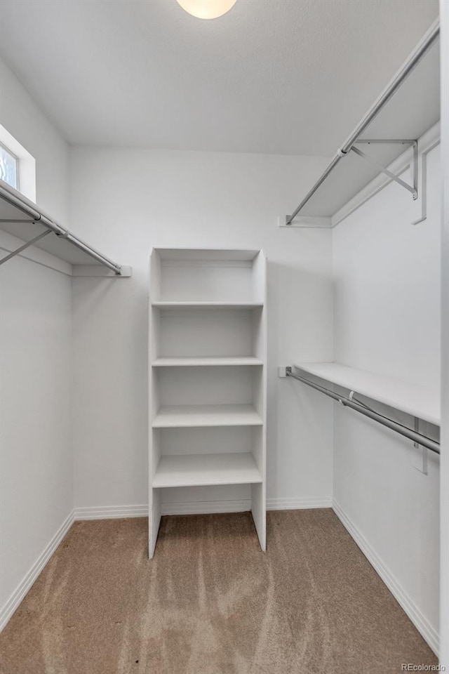 spacious closet featuring carpet flooring