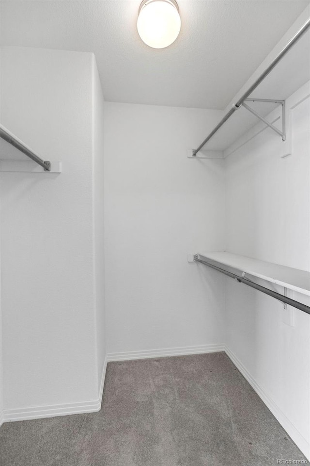 walk in closet with carpet flooring
