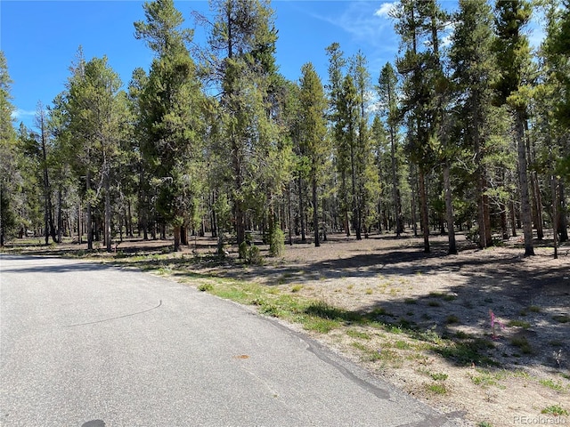 349 Augusta Dr, Leadville CO, 80461 land for sale