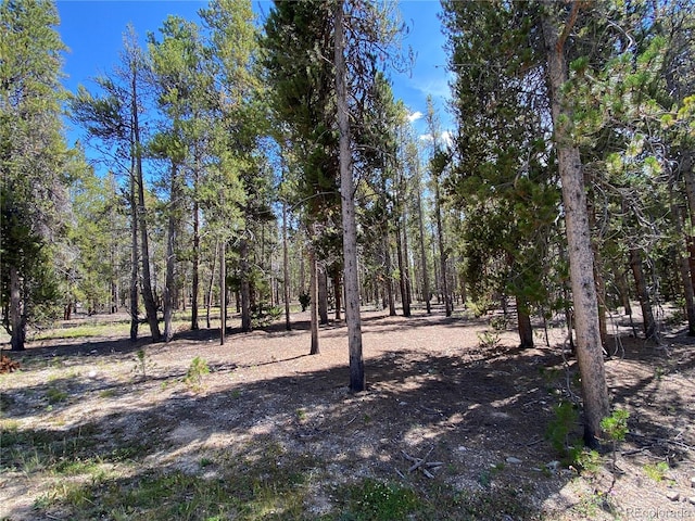 Listing photo 3 for 349 Augusta Dr, Leadville CO 80461