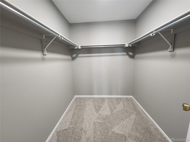 14499 E 1st Dr Unit A05, Aurora, CO 80011 - walk in closet with carpet flooring