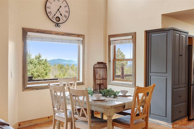 dining room featuring light hardwood / wood-style flooring