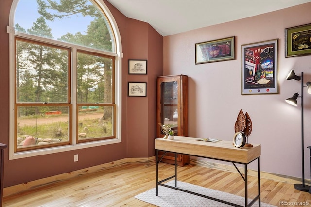 office with a wealth of natural light and light hardwood / wood-style flooring