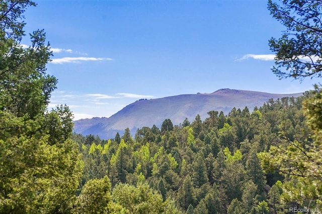 view of mountain feature