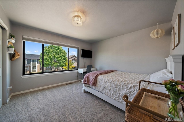 10701 Flagler Dr, Parker, CO 80134 - bedroom with carpet flooring, baseboards, and a textured ceiling