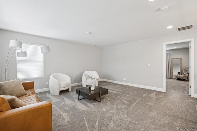 5157 Sirbal Dr, Colorado Springs, CO 80924 - photo 18