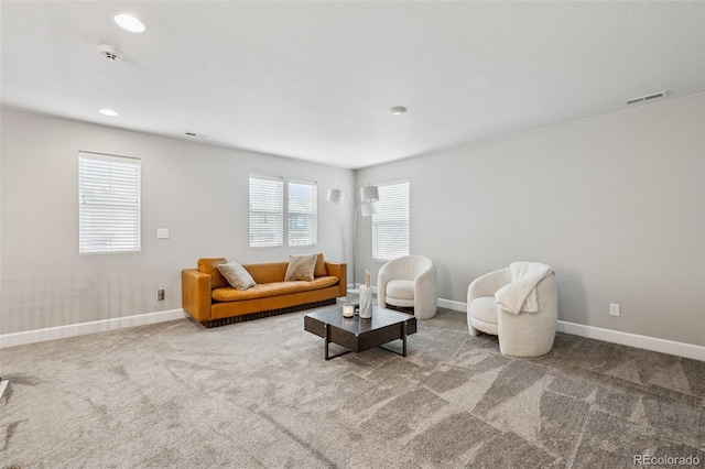 5157 Sirbal Dr, Colorado Springs, CO 80924 - photo 19