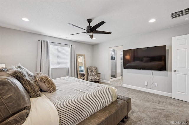 5157 Sirbal Dr, Colorado Springs, CO 80924 - photo 22