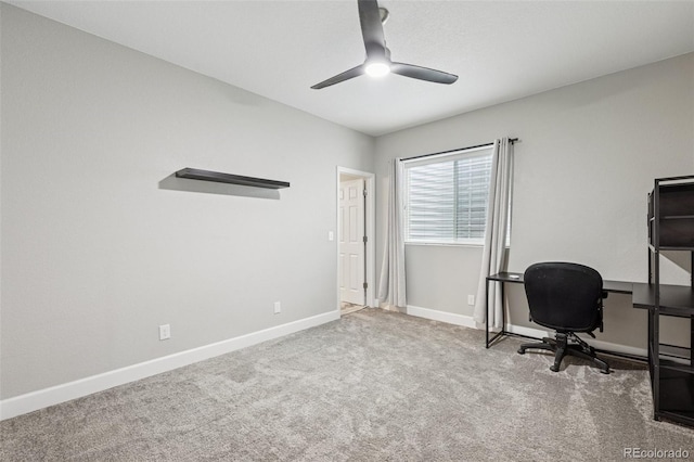 5157 Sirbal Dr, Colorado Springs, CO 80924 - photo 44